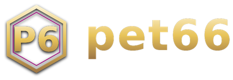 pet66 logo